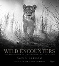 Cover: Wild Encounters - Rizzoli International Publications