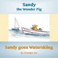 Enlarge image Cover: Sandy Goes Waterskiing - Ragabond Press