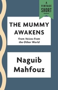 Cover: The Mummy Awakens - Vintage
