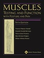 Cover: Muscles - LWW