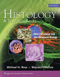Abbildung von: Histology - Lippincott Williams and Wilkins