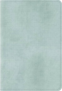 Bild: SV Baby New Testament with Psalms and Proverbs - Crossway Books