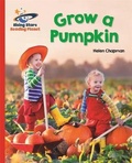 Cover: Reading Planet - Grow a Pumpkin - Red B: Galaxy - Rising Stars UK Ltd