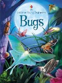 Enlarge image Cover: Bugs - Usborne Publishing Ltd