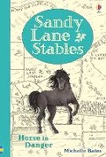 Cover: Sandy Lane Stables Horse in Danger - Usborne Publishing Ltd