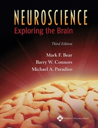 Abbildung von: NEUROSCIENCE 3E HARDCOVER - Lippincott Williams and Wilkins