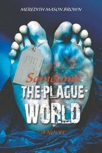 Enlarge image Cover: Sometime - LitFire Publishing