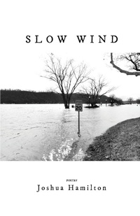 Enlarge image Cover: Slow Wind - Finishing Line Press
