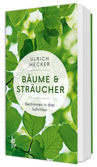 Enlarge image Cover: Bäume und Sträucher - BLV