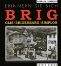 Cover: Erinnern Sie sich "Briq" - rottenedition
