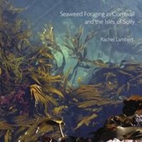 Abbildung von: Seaweed Foraging in Cornwall and the Isles of Scilly - Alison Hodge