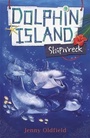 Cover: Dolphin Island: Shipwreck - Hodder Children's Books