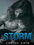 Cover: Storm - Tantor Media, Inc