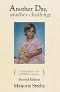 Cover: Another Day, Another Challenge - Second Edition - Tate Publishing & Enterprises