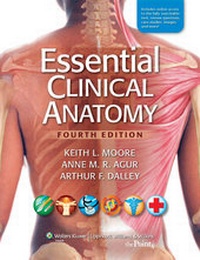 Enlarge image Cover: Essential Clinical Anatomy - Lippincott Williams and Wilkins