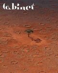 Cover: Cabinet 63: The Desert - Cabinet