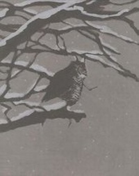 Enlarge image Cover: Sound of Snow Falling - 2D Cloud
