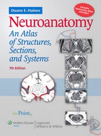 Abbildung von: Neuroanatomy - Lippincott Williams and Wilkins