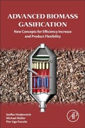 Cover: Advanced Biomass Gasification - Academic Press