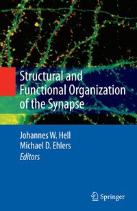 Abbildung von: Structural and Functional Organization of the Synapse - Springer