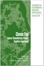 Cover: Chemo Fog - Springer