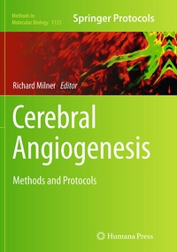 Abbildung von: Cerebral Angiogenesis - Humana Press Inc.