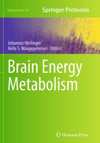 Abbildung von: Brain Energy Metabolism - Humana Press Inc.