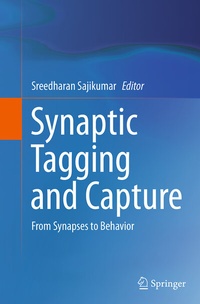 Abbildung von: Synaptic Tagging and Capture - Springer