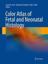 Abbildung von: Color Atlas of Fetal and Neonatal Histology - Springer