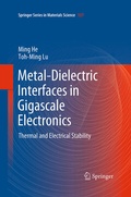 Cover: Metal-Dielectric Interfaces in Gigascale Electronics - Springer