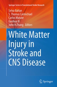 Abbildung von: White Matter Injury in Stroke and CNS Disease - Springer