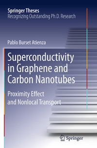 Abbildung von: Superconductivity in Graphene and Carbon Nanotubes - Springer