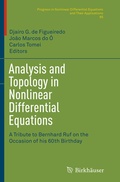 Cover: Analysis and Topology in Nonlinear Differential Equations - Birkh&auml;user
