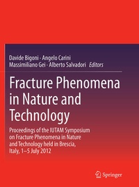 Enlarge image Cover: Fracture Phenomena in Nature and Technology - Springer