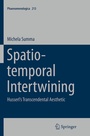 Cover: Spatio-temporal Intertwining - Springer