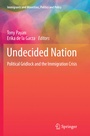 Cover: Undecided Nation - Springer