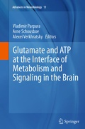Cover: Glutamate and ATP at the Interface of Metabolism and Signaling in the Brain - Springer