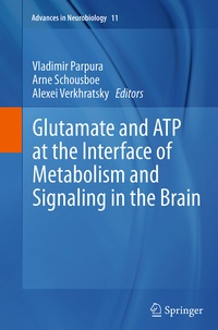 Abbildung von: Glutamate and ATP at the Interface of Metabolism and Signaling in the Brain - Springer
