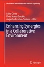 Cover: Enhancing Synergies in a Collaborative Environment - Springer