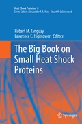 Cover: The Big Book on Small Heat Shock Proteins - Springer
