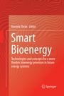 Cover: Smart Bioenergy - Springer