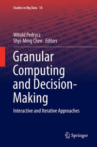Enlarge image Cover: Granular Computing and Decision-Making - Springer