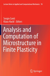 Enlarge image Cover: Analysis and Computation of Microstructure in Finite Plasticity - Springer