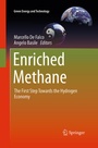 Cover: Enriched Methane - Springer
