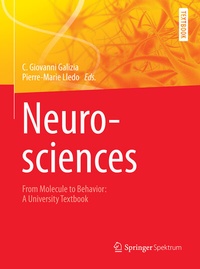 Abbildung von: Neurosciences - From Molecule to Behavior: a university textbook - Springer Spektrum