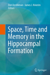 Abbildung von: Space,Time and Memory in the Hippocampal Formation - Springer