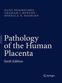 Abbildung von: Pathology of the Human Placenta - Springer