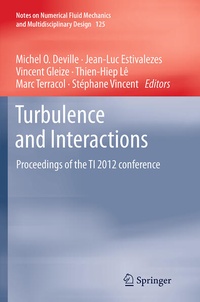 Enlarge image Cover: Turbulence and Interactions - Springer