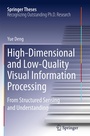 Cover: High-Dimensional and Low-Quality Visual Information Processing - Springer