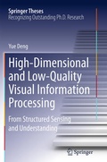 Cover: High-Dimensional and Low-Quality Visual Information Processing - Springer